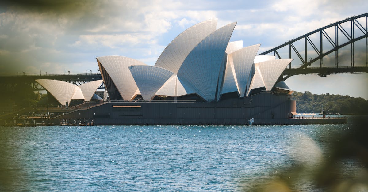 A Compilation of Rave Reviews for Sydney's Cleaning Services