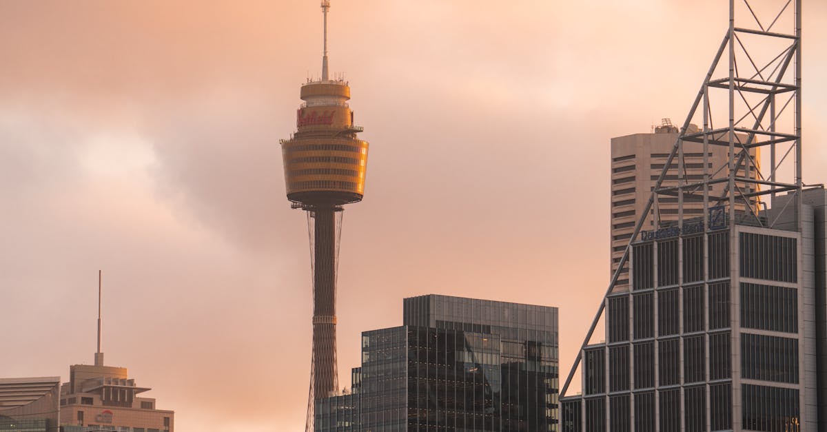 Comparing Local Eco-Friendly Cleaners: What You Need to Know