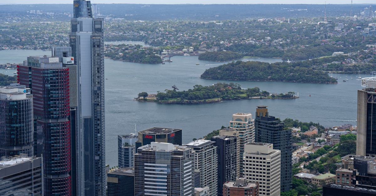 Cost-Effective Solutions for Regular Cleaning in Sydney Homes