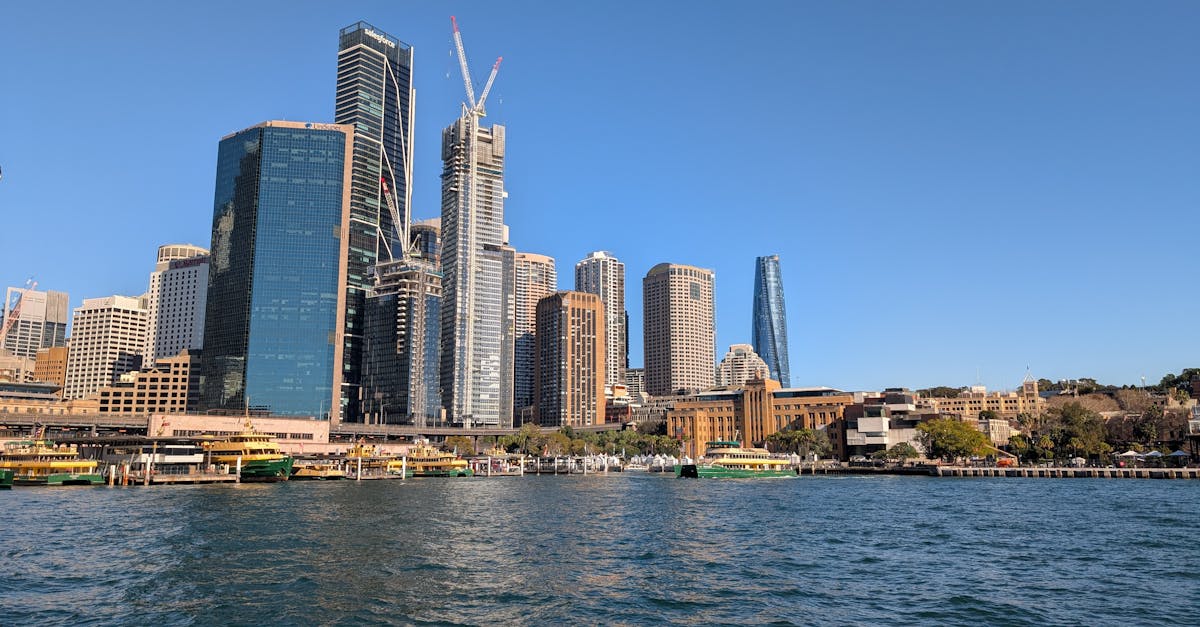 Creating a Waste-Free Home with Sustainable Cleaning Practices