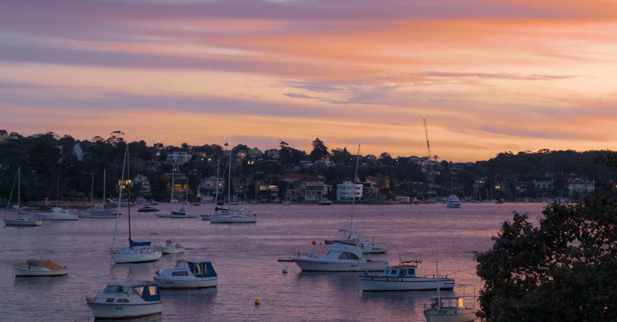 Customising Your Eco-Friendly Cleaning Service for Your Home Needs