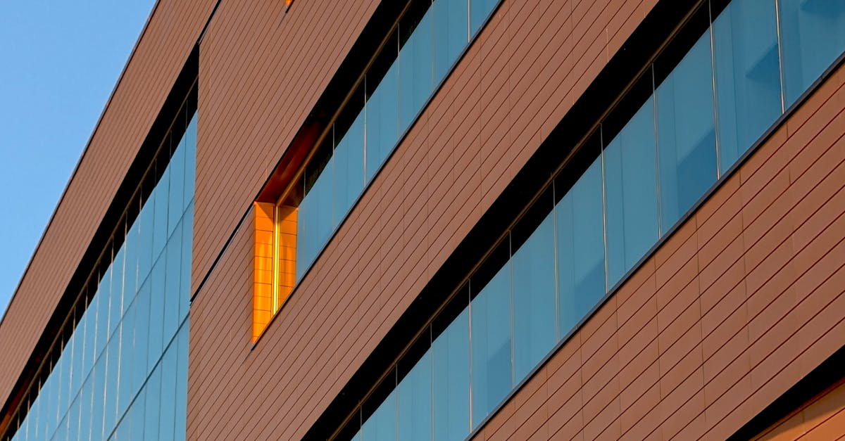 Essential Certifications for Professional Cleaners in Sydney