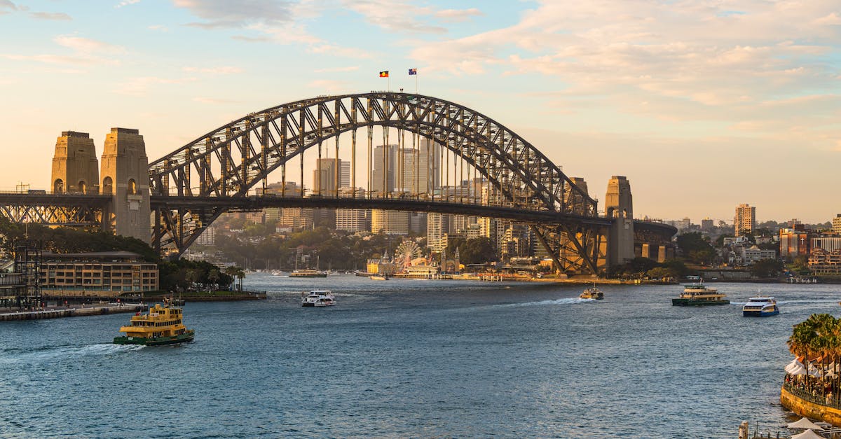 Exploring Last-Minute Booking Options for Cleanings