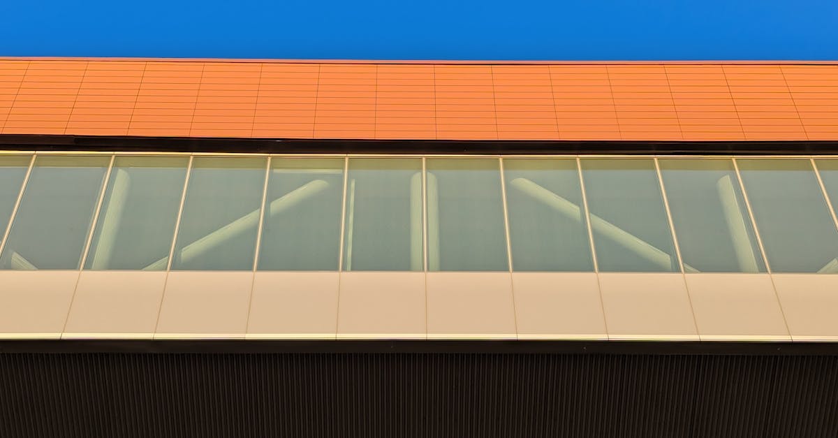 Health Benefits of Using Eco-Friendly Cleaning Products in Your Home