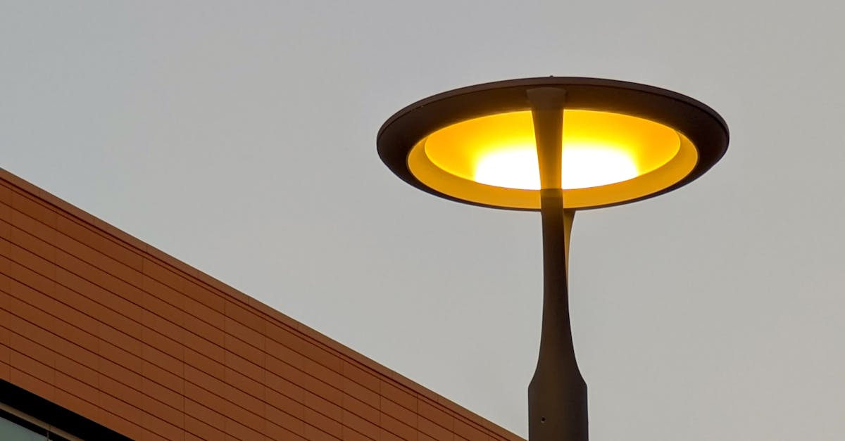 Key Skills Required for Professional Cleaning Roles