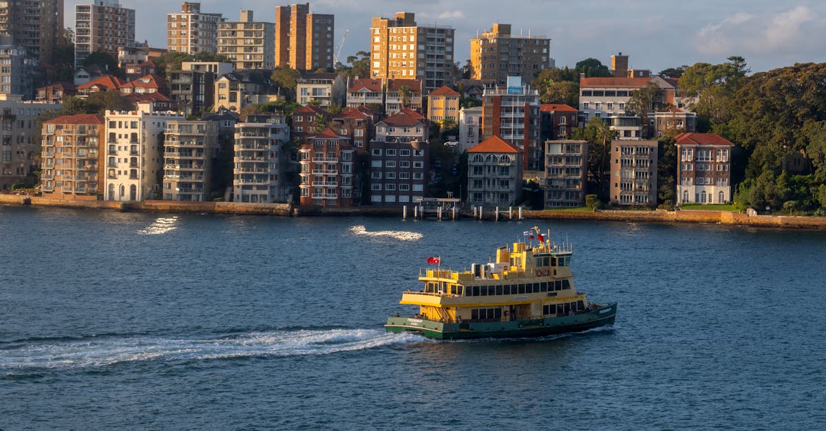 Revitalising Your Home: The Importance of Spring Cleaning