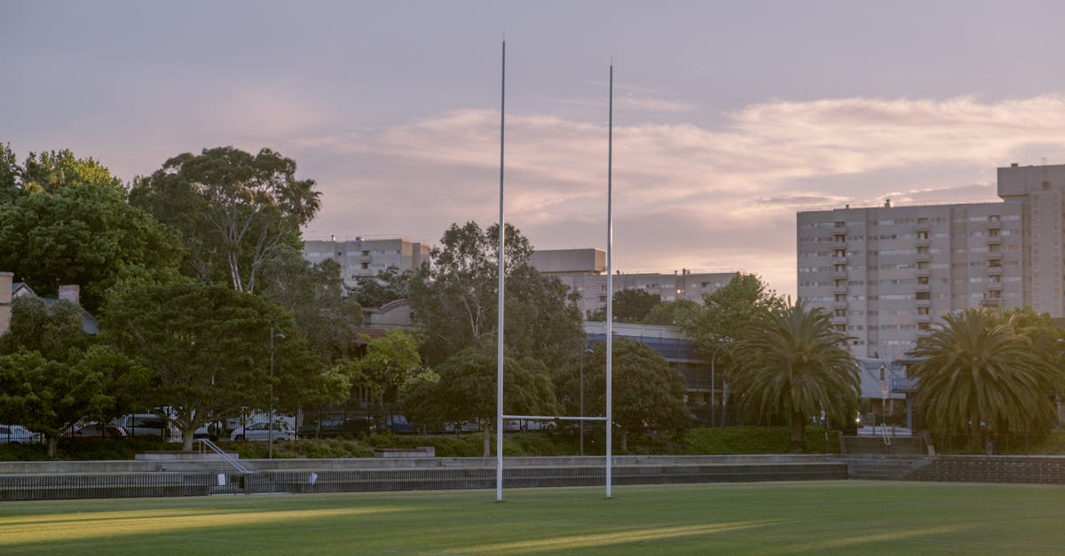 The Impact of Regular Domestic Cleaning on Family Health and Wellbeing