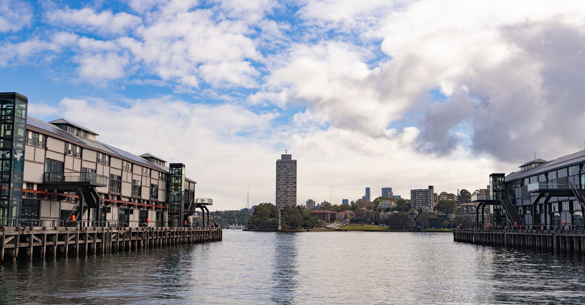 Top 5 Carpet Stains and How to Tackle Them