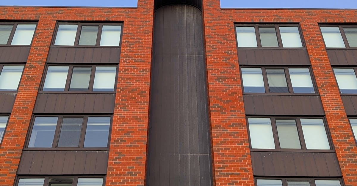 Transitioning to a Fully Sustainable Cleaning Service for Your Home