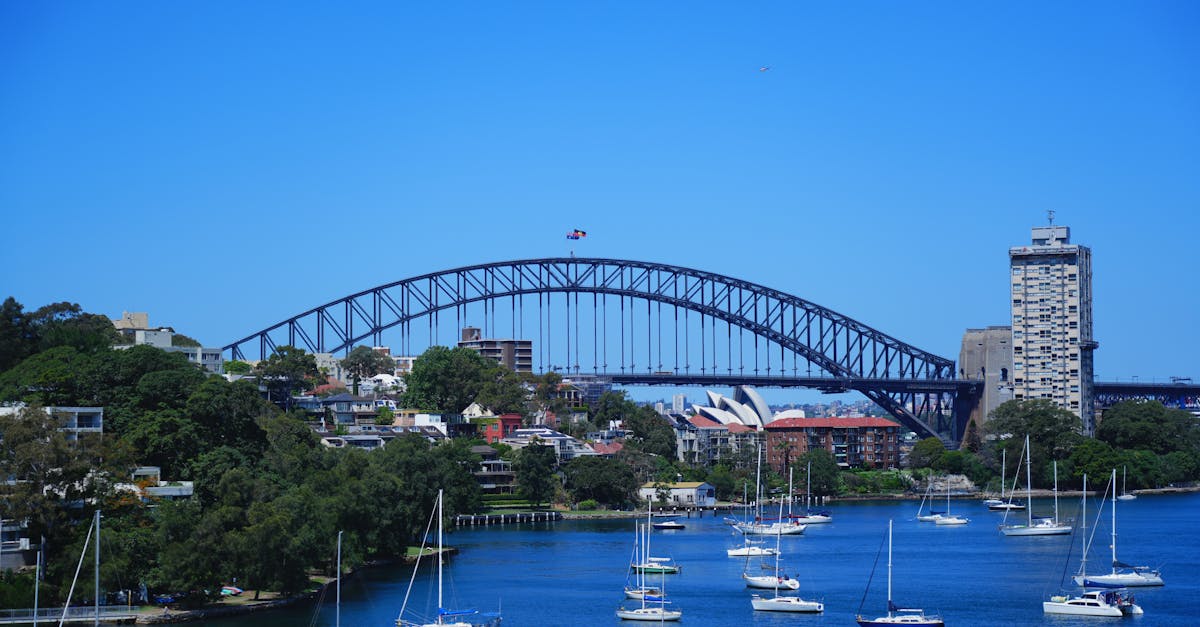 Understanding the Scope of Regular Domestic Cleaning Services