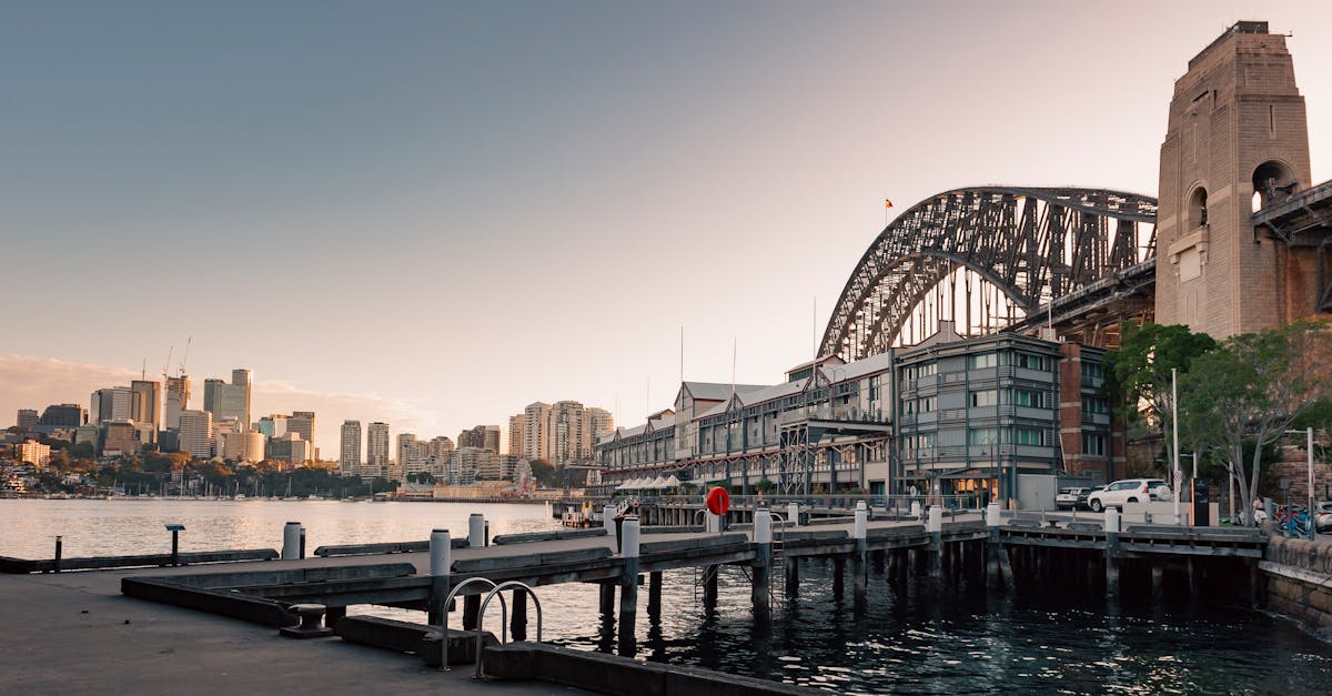 What to Expect from a Professional House Cleaning Service